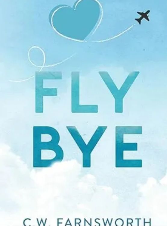 Fly Bye